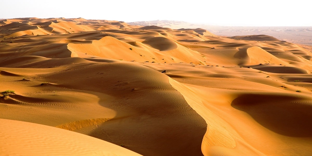 Omán. Dunas del desierto de Wahiba Sands en Oman