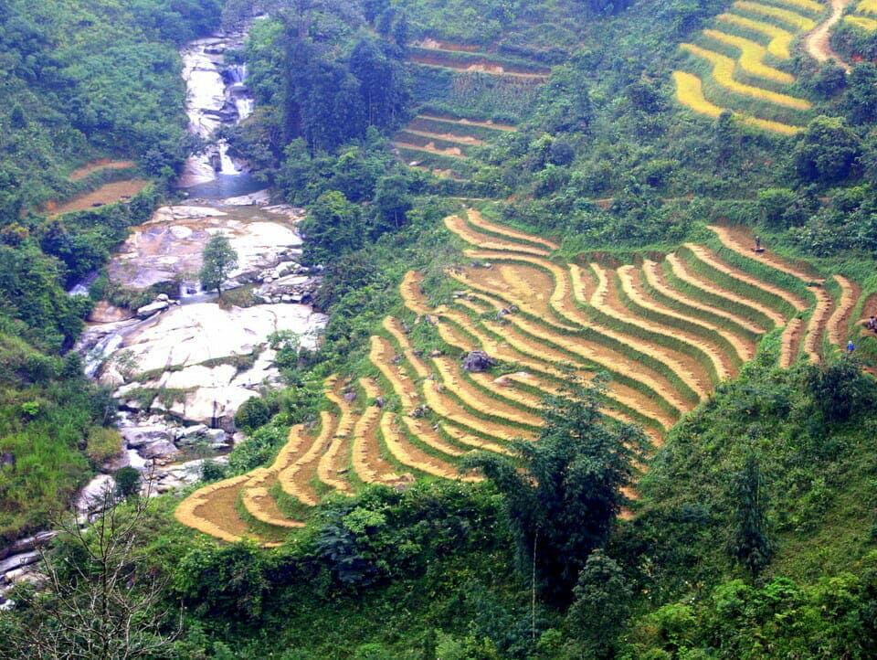 Indochina Remota. Arrozales en Sapa, Vietnam