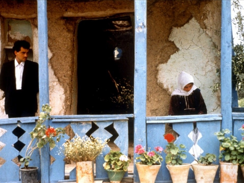 Abbas Kiarostami a través de los olivos