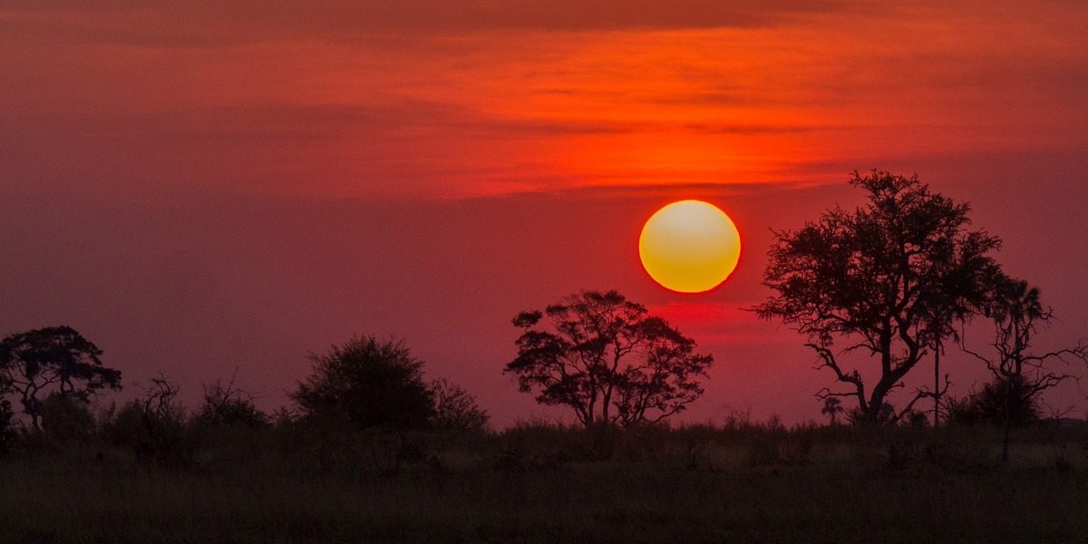 Botswana. Roja puesta de sol en el Delta del Okavango en Botswana