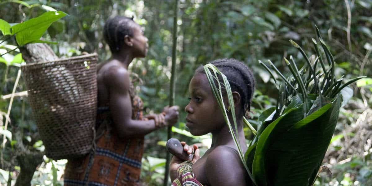 Camerún. Mujeres recolectando y cargando materias en el bosque en Camerun