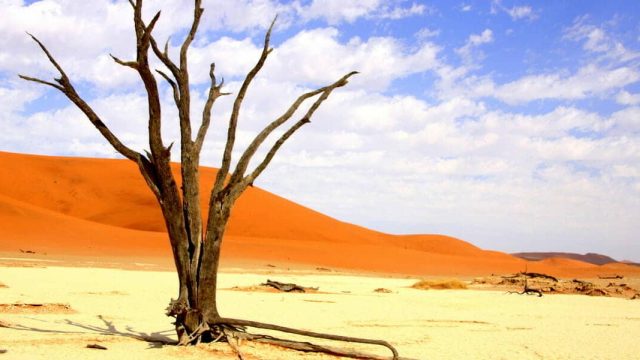 Namibia. Dead Vlei, Desierto, Namibia