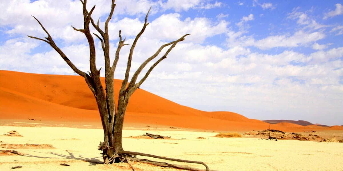 Namibia. Dead Vlei, Desierto, Namibia